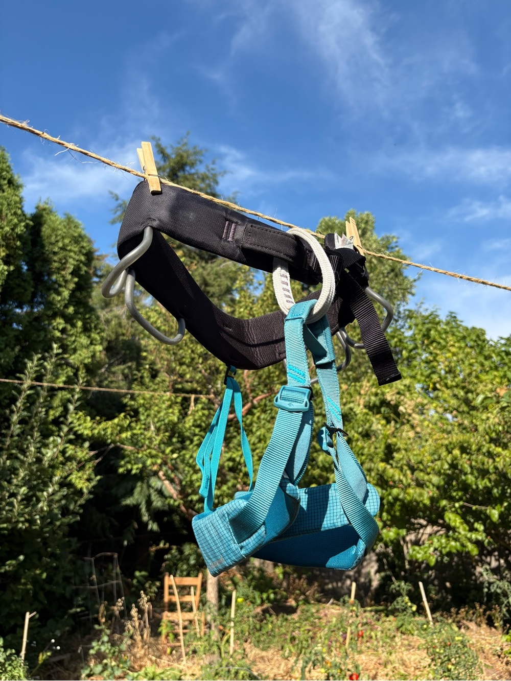 Black Diamond “Momentum” Climbing Harness, Women’s Med